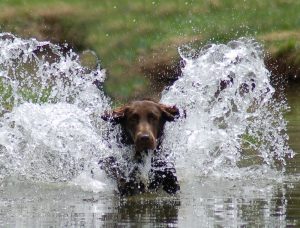 Story in water